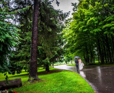 Elm-Hurst Wedding photo